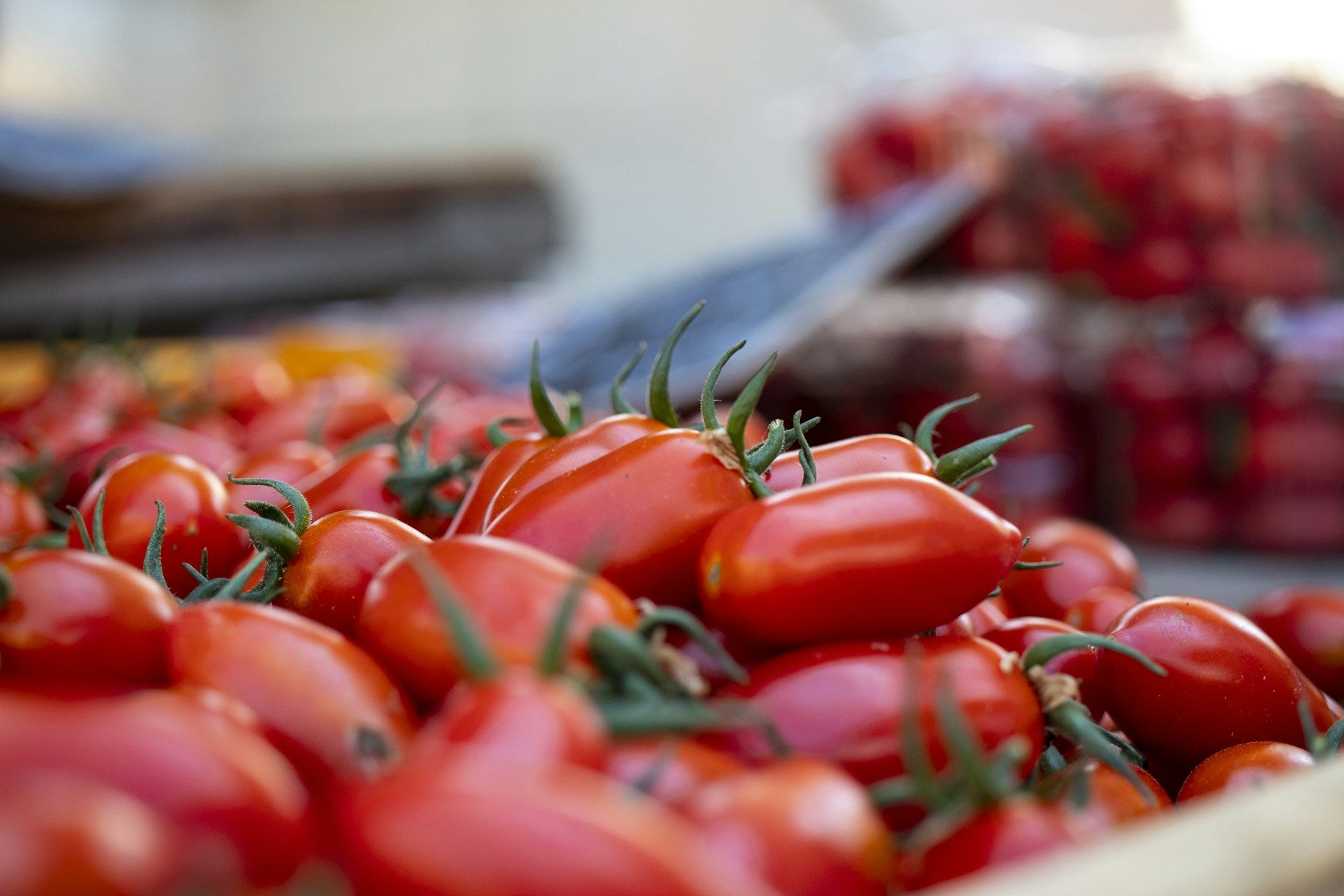 Krok po kroku: Jak przygotować glebę do uprawy sadzonek pomidorów na nowy sezon?
