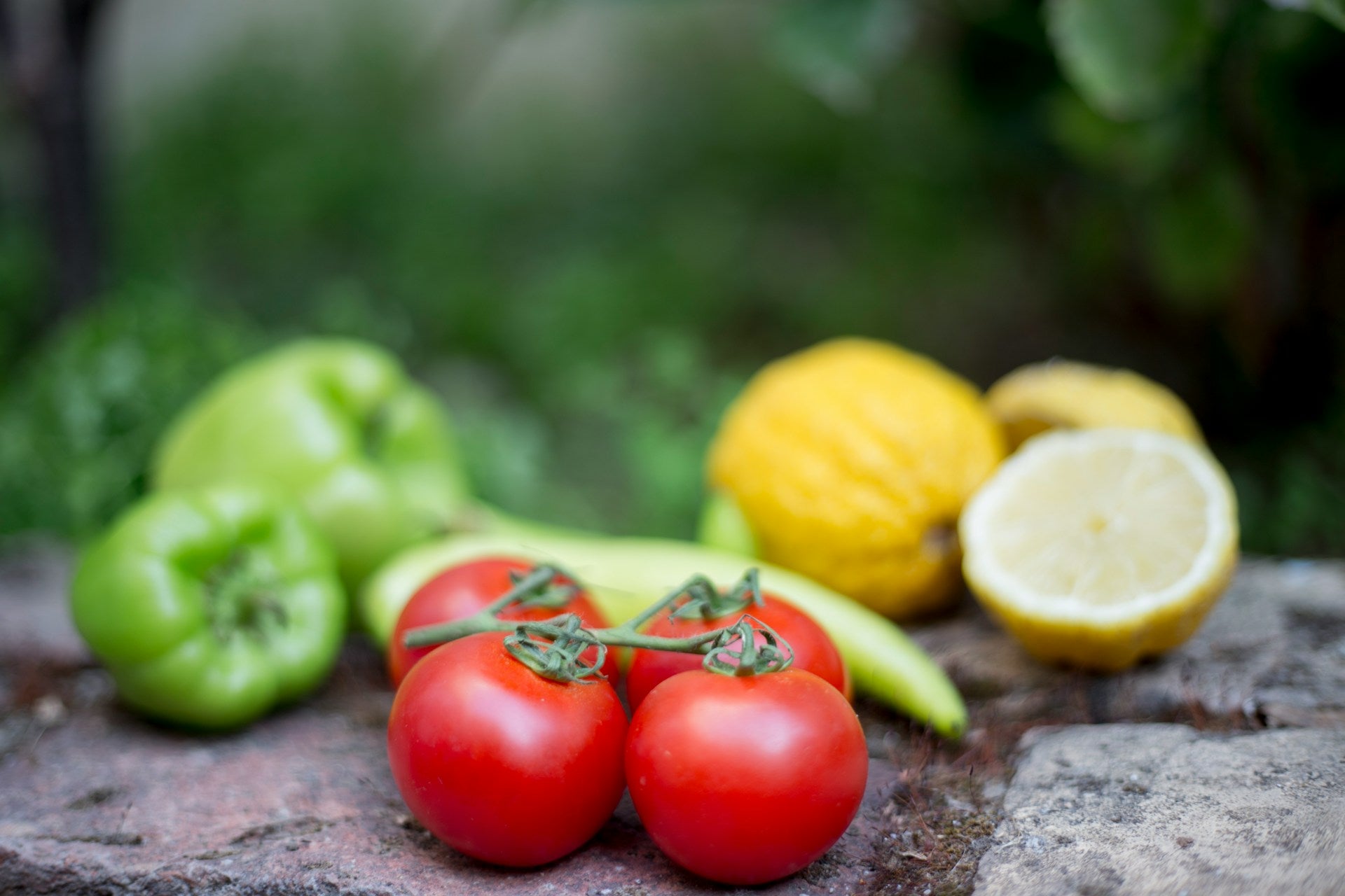 Nasiona pomidorów bez GMO