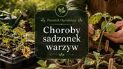 Jak rozpoznać choroby sadzonek warzyw?