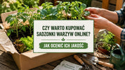 Czy warto kupować sadzonki warzyw online?