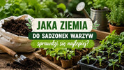 Jaka ziemia do sadzonek warzyw?