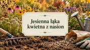 Jesienna łąka kwietna z nasion