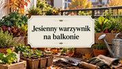 Jesienny warzywnik na balkonie