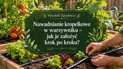Nawadnianie kropelkowe w warzywniku