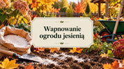 Wapnowanie ogrodu jesienią