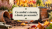 Ziemia z donic po sezonie - co z nią zrobić?