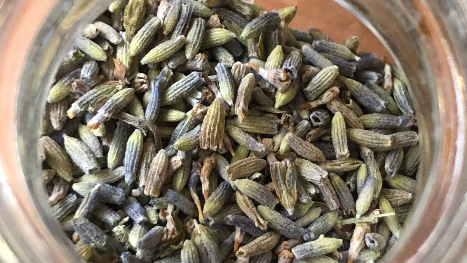 uprawa kiełków w domu