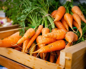 Collection image for: Nasiona Marchwi