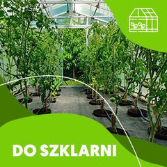 Collection image for: Pomidory do szklarni