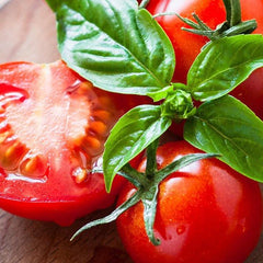 Collection image for: Sadzonki pomidorów koktajlowych