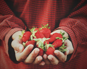 Collection image for: Nasiona Owoców