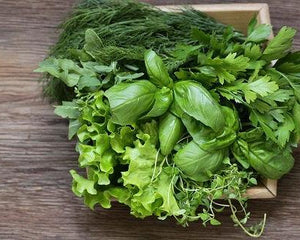 Collection image for: Nasiona Ziół