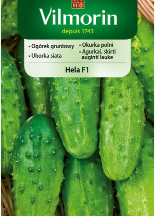 Nasiona - Ogórek gruntowy, średnio wczesny Hela F1 5g - Niezłe Ziółko