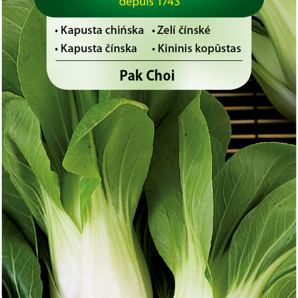 Nasiona - KAPUSTA CHIŃSKA PAK CHOI 2G