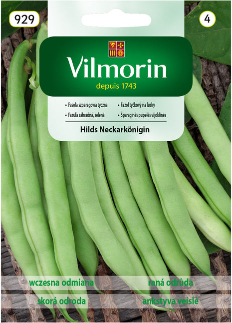 Nasiona - Fasola Szparagowa Zielona Hilds Neckarkonigin 10g