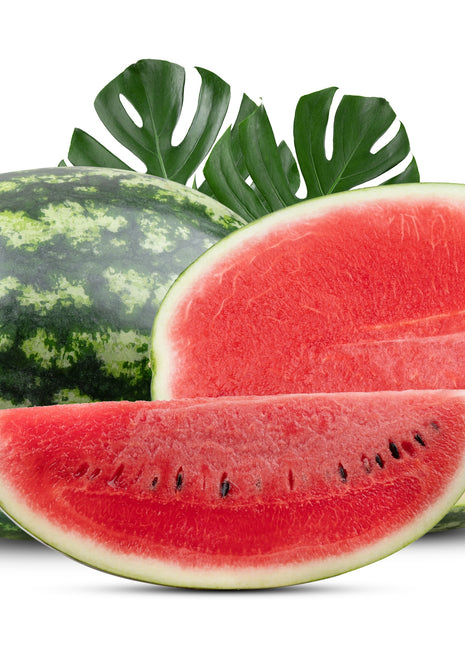 Arbuz Mirsini - Sadzonka