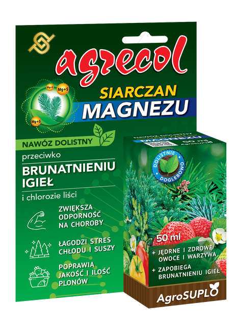 NAWÓZ - MAGNEZ DOLISTNY 50ML