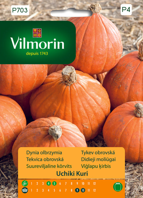Nasiona – Dynia Ozdobna i Jadalna Uchiki Kuri 3g