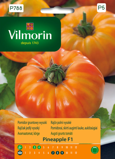 Nasiona Pomidora - Pineapple F1 0,1g