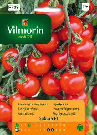 Nasiona - Pomidor gruntowy, wysoki Sakura F1 Profi 9 ZIAREN - Niezłe Ziółko