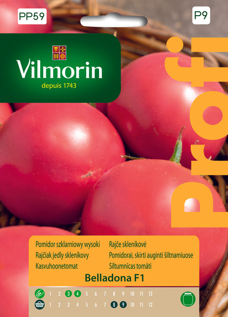 Nasiona - Pomidora Belladona F1 – 8 ziaren w opakowaniu