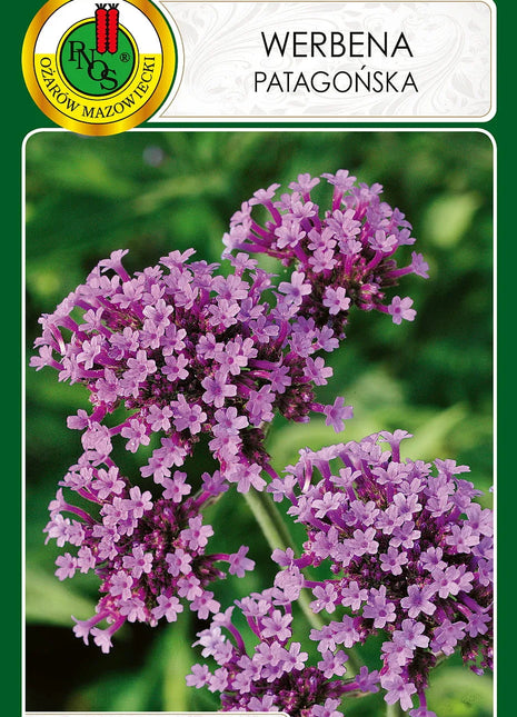 Nasiona - Werbena patagońska 0,1g - Niezłe Ziółko