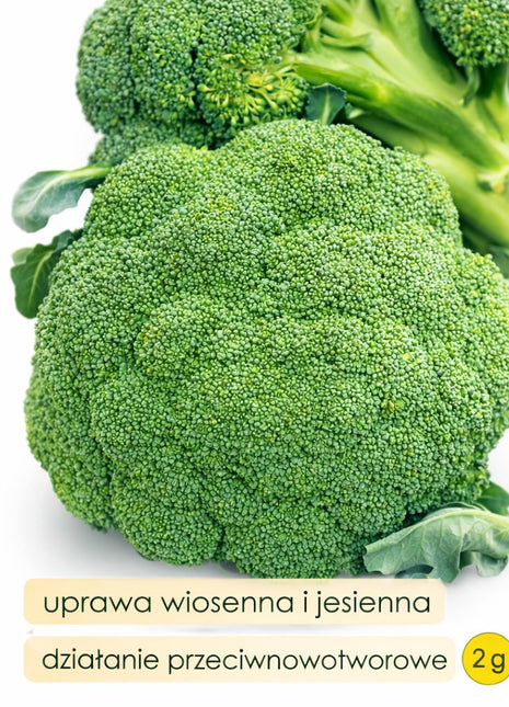 Nasiona - Brokuł SEBASTIAN 2g