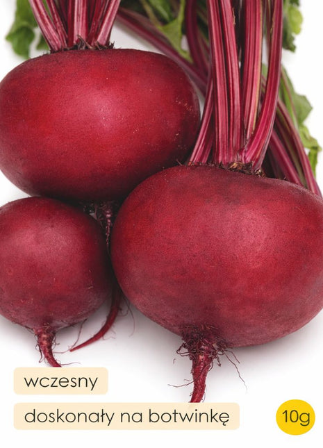 Nasiona - Burak ćwikłowy D'EGYPTE 10g