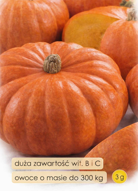 Nasiona - Dynia olbrzymia ATLANTIC GIANT 3g