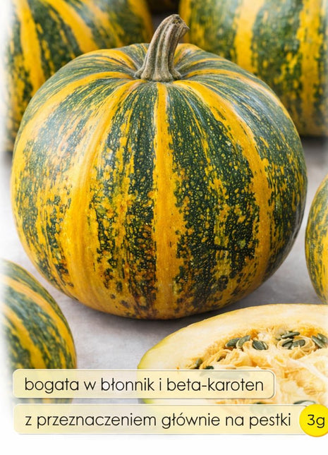 Nasiona - Dynia bezłupinowa oleista OLGA 3g