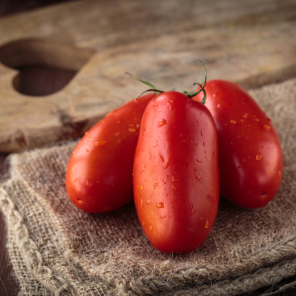 Pomidor Kmicic - Sadzonka