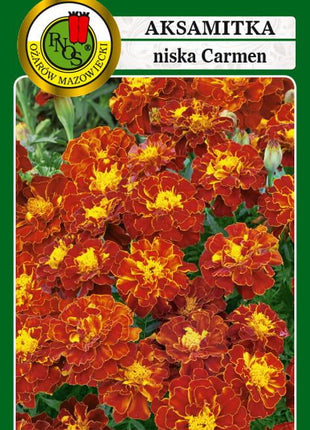 Nasiona - AKSAMITKA PEŁNA NISKA CARMEN KARMAZYNOWO-MIODOWY 1g - Niezłe Ziółko