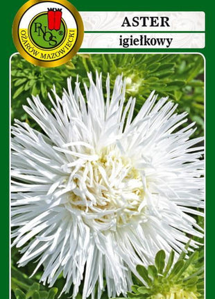 Nasiona - Aster Igiełkowy Biały 0,8g - Niezłe Ziółko