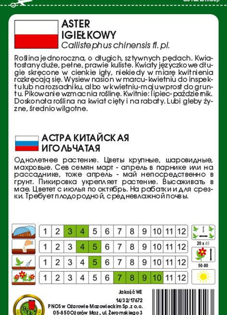 Nasiona - ASTER IGIEŁKOWY BIAŁY 0,8g - Niezłe Ziółko