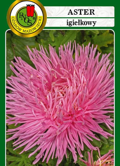 Nasiona - ASTER IGIEŁKOWY CZERWONOŁOSOSIOWY 0,8g - Niezłe Ziółko