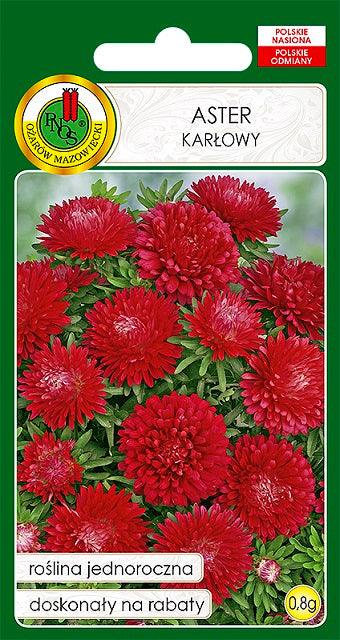 Nasiona - ASTER KARŁOWY CZERWONY 0,8g - Niezłe Ziółko