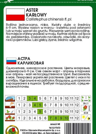 Nasiona - Aster Karłowy Różowy 0,8g - Niezłe Ziółko