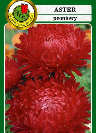 Nasiona - Aster Peoniowy Czerwony 0,8g - Niezłe Ziółko