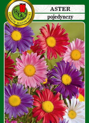 Nasiona - Aster Pojedynczy Mieszany 0,8g - Niezłe Ziółko
