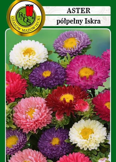 Nasiona - ASTER PÓŁPEŁNY ISKRA MIESZANY 0,8g - Niezłe Ziółko