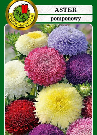 Nasiona - Aster Pomponowy Mieszany 0,8g - Niezłe Ziółko