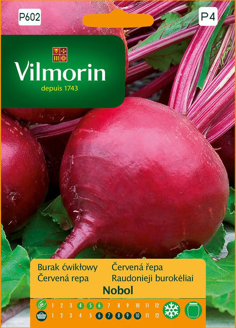 Nasiona - BURAK ĆWIKŁOWY NOBOL 8G - Niezłe Ziółko