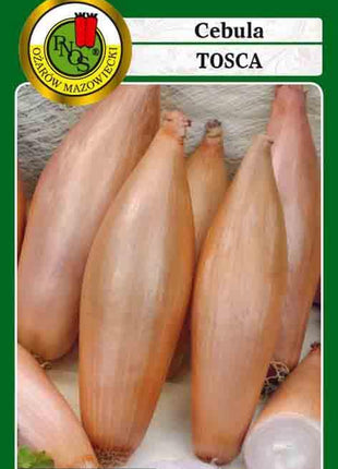 Nasiona – Cebula Tosca 2g - Niezłe Ziółko
