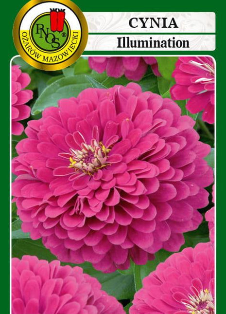 Nasiona - CYNIA DALIOWA ILLUMINATION RÓŻOWA 1g - Niezłe Ziółko