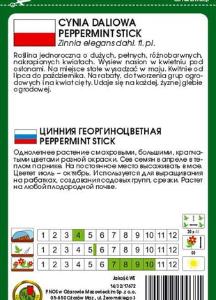 Nasiona - Cynia Daliowa Peppermint Stick Mieszanka 1g - Niezłe Ziółko