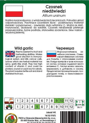 Nasiona - CZOSNEK NIEDŹWIEDZI 0,5g - Niezłe Ziółko