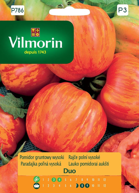 Nasiona - DUO POMIDOR CZERWONY Z ŻÓŁTYMI SMUGAMI 0,5G - Niezłe Ziółko