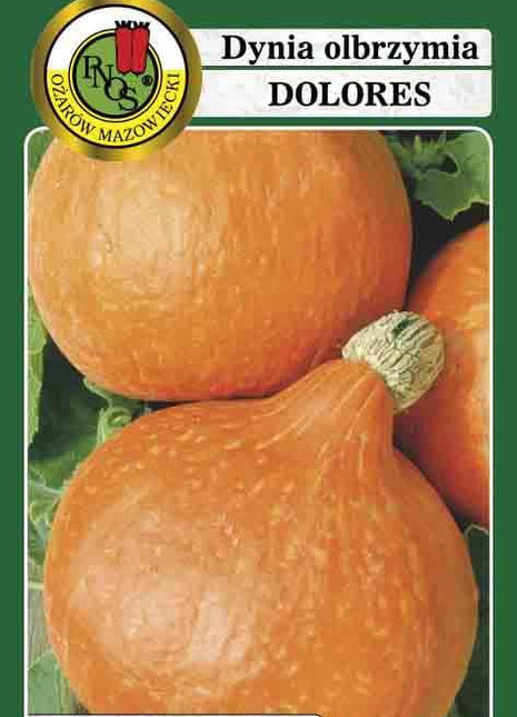 Nasiona - DYNIA OLBRZYMIA DOLORES 5g - Niezłe Ziółko