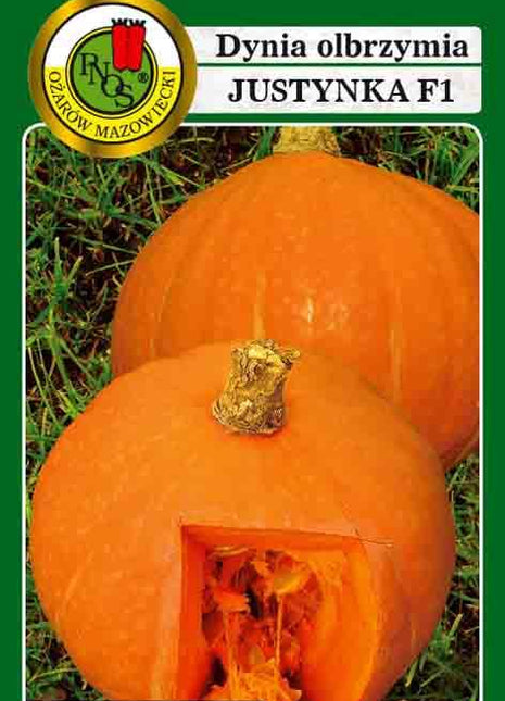 Nasiona - DYNIA OLBRZYMIA JUSTYNKA F1 2g - Niezłe Ziółko