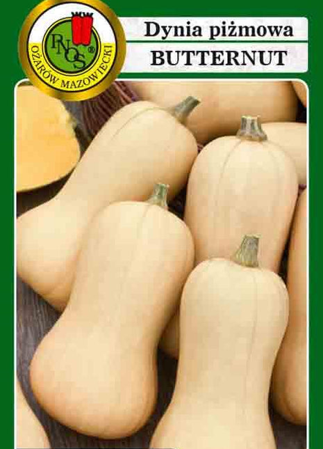 Nasiona - DYNIA PIŻMOWA BUTTERNUT 3g - Niezłe Ziółko